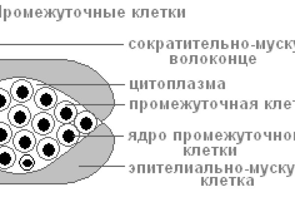 Https blacksprut com pass blacksprut adress com